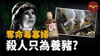 枕邊人接二連三去世，最後索性在學校策劃了一場致命午餐，而這一切竟是為了養豬？蘇聯時期讓人聞風喪膽的劇毒黑寡婦到底是何來歷？ | Wayne調查