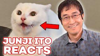 Junji Ito Reacts to YOUR Cats | React