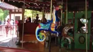 Parker riding the carousel at the zoo!