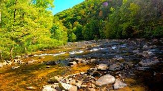 One of the most Scenic Rivers I've ever Fished