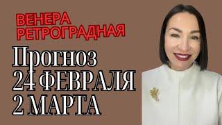 ПРОГНОЗ С 24 ФЕВРАЛЯ ПО 2 МАРТА 2025. НОВОЛУНИЕ РЕТРОГРАДНАЯ ВЕНЕРА. #гороскоп #прогнознакаждыйдень