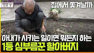 [멜로다큐 '가족' 367회 下] 집에서 쫓겨날까 아내가 시키는 일이라면 뭐든지 하는 1등 심부름꾼 87살 할아버지