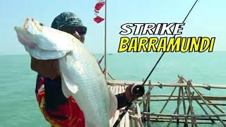 Berburu Strike Barramundi Di Rumpon Perairan Demak | MANCING MANIA STRIKE BACK (30/09/23) Part 1