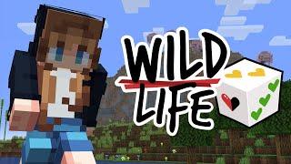 Wild Life: SMALL Lives, BIG Challenges! | Episode 1