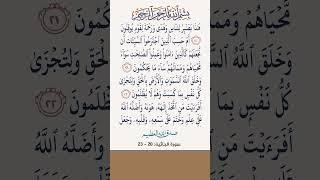 هذا بصائر للناس وهدى ورحمة.. #محمد الفقيه