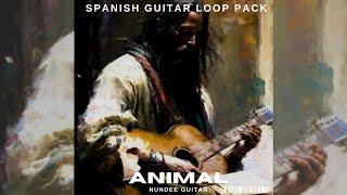 [FREE] GUITAR SAMPLE PACK/LOOP KIT  - "ANIMAL" | Spanish Guitar, Latin Sample Pack, Live Guitar