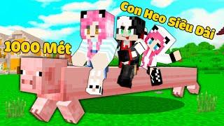 MỀU THỬ THÁCH 24H NUÔI BÉ HEO SIÊU TO KHỔNG LỒ TRONG MINECRAFT*REDHOOD BẮT ĐƯỢC CON HEO DÀI 100BLOCK