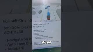 Tesla Autopilot:  What You NEED to Know! 