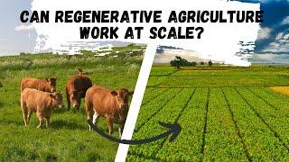 Can Regenerative Agriculture Work Large Scale? and Should It?