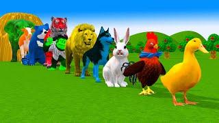 Paint & Animals Ducks,Gorilla,Cow,Lion,Elephant,Bear Fountain Crossing Transformation Animal Cartoon