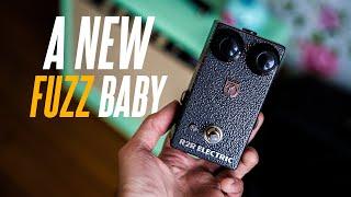 A Fuzz Face and a Schaller Distorter had a baby! The R2R Electric Si Distorter!