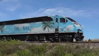 Two Amtrak Trains & A Tri-Rail From Delray To Pompano Beach 3-31-24