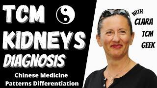 Chinese Medicine Diagnosis: the Kidneys (Inquiry Method)