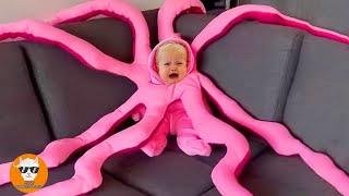 [NEW] Funniest Babies Crying of Weird Halloween Decoration - Funny Baby Videos | Just Funniest