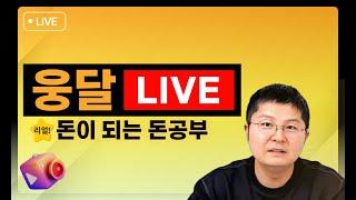 ⭐ 이란의 보복 공격 시나리오 2가지 + 미국 "내일이라도 협상 가능"  ⭐