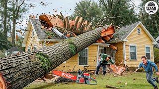 Dangerous Fastest Idiots Cutting Tree Fails Skill With Chainsaw | Tree Falling on Houses #1