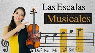 Las escalas Musicales En el Violín - Qué son, Como Tocarlas y Material de Descarga