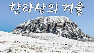 겨울에 한라산을 꼭 가야하는 이유 | 어리목~윗세오름 with 어반사이드 스노우버스터 아이젠