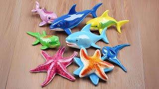 Sea Life Adventure Shark, puffer, Starfish, Clown, Tang, Eel, Gold fish, Sea Horse, Dolphin LIVE 01