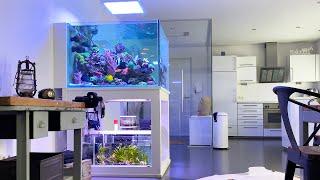 1000 LITER TANK! - Bigger REEF AQUARIUM from 300 to 1000 liter DESIGNER TANK