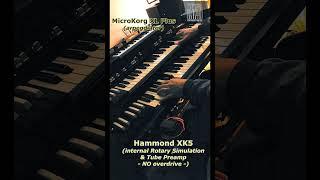 #shorts Hammond XK5 & Korg MicroKorg XL Plus  #music #synth #hammondorgan @HammondB3tube