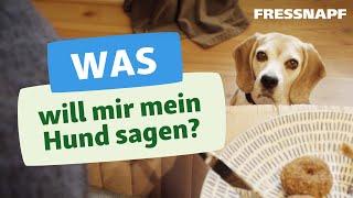 Körpersprache beim Hund - Hunde richtig verstehen