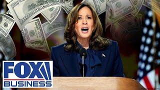 Rep. Michael Rulli: Kamala Harris is looking for a 'magic bullet' to fix everything