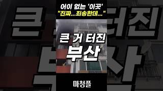 부산 에코델타시티 대방엘리움 리버뷰 주택청약 "고민되는 한가지!!" #shorts