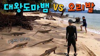 갑자기 등장한 대왕도마뱀 VS 진격의 오리발 ㅋㅋㅋ 버섯도리 여행 마지막날 브이로그