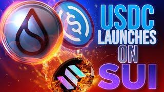 USDC Launches on SUISolana SHOTS FIRED!