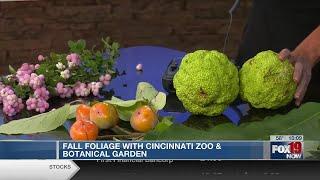 Local Fall Fruits at The Cincinnati Zoo & Botanical Garden