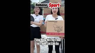 Máy Tập Bụng Habana Sport