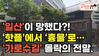 수억 권리금 줬는데 장사 접었습니다… 일산 중심상권 붕괴 중! 한때 스타필드급이었는데… 라페스타, 가로수길 지금은 이 지경입니다! 부동산 아파트 상가 이야기 하락 폭락 노가다 노비