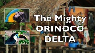 The Mighty Orinoco Delta, Trailer