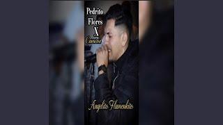 Pedrito Flores X Camaron