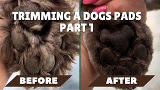 How To Safely Trim Dog's Paw Pads And Nails: Puppy Grooming Tutorial For Beginners - Pet Styling