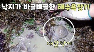 캠핑과 해루질하기 좋은 해수욕장! 해변10m앞 낙지가 바글바글! (ft알짜미)