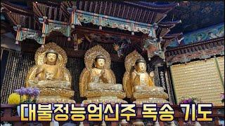 대불정능엄신주(목탁)/관음사 기도