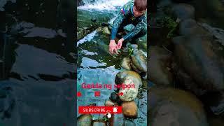 Amazing Fisherman skills #shortvideo #shorts #fishing