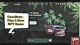 CanaBoyz - Play To Earn NFT Game - Live Testnet - Review by BTCTV