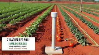 farm land for sale near hosur - farm land for sale in hosur, Jawalagiri,