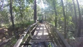 ATV Riding in Sam Houston National Forest (West Side). Scrambler 1000 and Raptor 700R