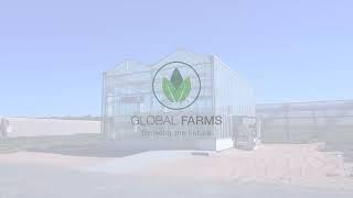 Global Farms - Al Wathba Farm Operations, Abu Dhabi