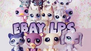 LPS MYSTERY PET ? Huge Littlest Pet Shop Ebay Haul | Alice LPS