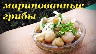 Рецепт маринованных грибов, быстрый вкусный и простой.