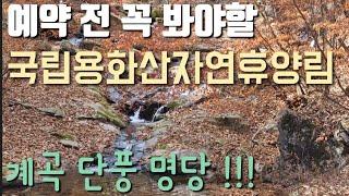 국립 용화산자연휴양림/예약전 꼭 봐야할 추천 명당 1박2일