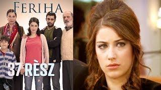 Feriha - 37. rész