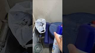하수구 날파리 제거 필수 이것 뿌리기
