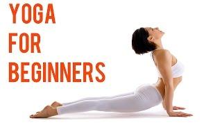 Yoga for Beginners - Simple Yoga Asanas for Beginners - Yoga Shakti