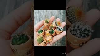 좋은것만 생각하자고 다짐해본다 #무속인 #깊은치유 #기도 #꽃쟁이 #오륙도